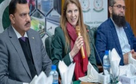 'Infringement of sovereignty': India registers 'strong protest' against visit by British envoy to PoK