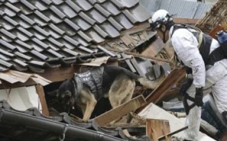 Japan PM Kishida visits quake-hit Ishikawa