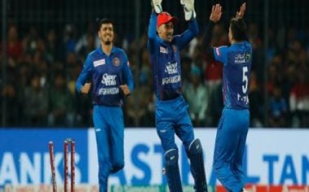 India vs Afghanistan LIVE Score, 2nd T20I: IND 62/2; Kohli departs for 29 as Naveen snaps 2nd-wicket stand