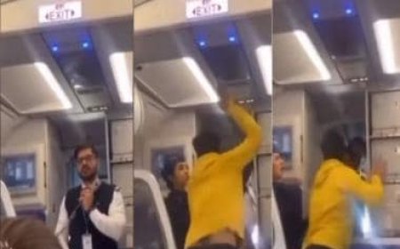 WATCH: Passenger on Goa-bound IndiGo flight punches pilot announcing delay at Delhi airport