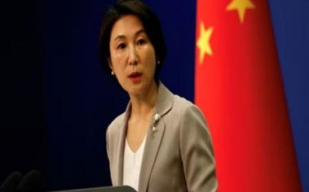 'Firmly opposed' to all official US-Taiwan exchanges, says China as American delegation visits island nation