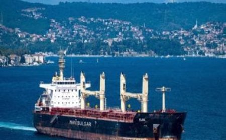 Red Sea attacks: Malta-flagged bulk carrier hit by missile off Yeme