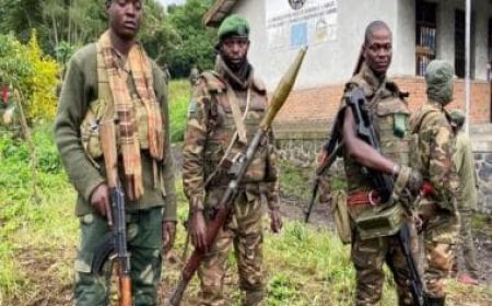 Rwanda military kill Congolese soldier, arrest two along border 