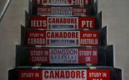 India-Canada Row: Ottawa says student visas to Indians down by 86% in last quarter of 2023, no rebound in sight