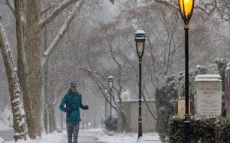 Fierce winter weather slams US, 55 dead
