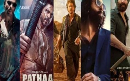 No more #BoycottBollywood | Pathaan, Jawan, Gadar, Animal, Dunki: How Bollywood came back to life in 2023