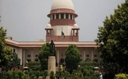 Courts cannot direct government to notify law passed by Parliament, says SC