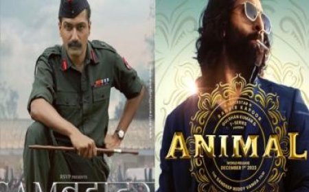 From Ranbir Kapoor's 'Animal' on Netflix to Vicky Kaushal's 'Sam Bahadur' on Zee5, what to watch on OTT this weekend