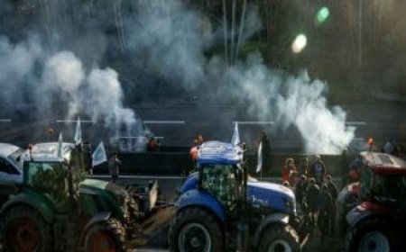 French farmers to continue protests despite govt's offer of concessions