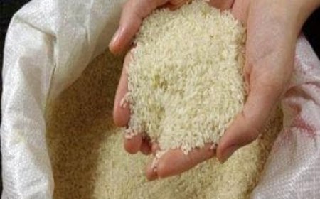 Indian curbs to propel Pakistan's rice exports towards record high