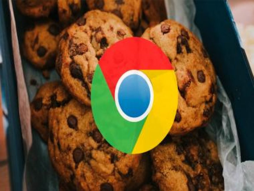 Google disables cookies so that no one else, only they can track your every move