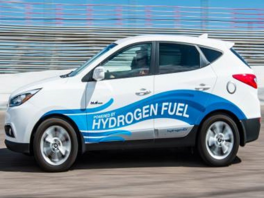 Team led by Indian-origin scientist make eco-friendly, sustainable ‘green petrol’ using whiskey waste