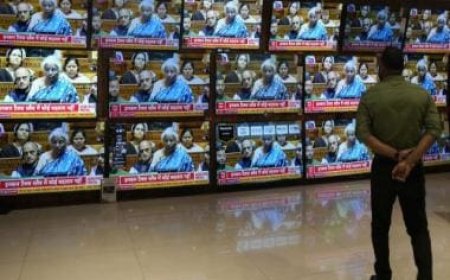 Budget 2024: How economy fared better than estimated, what this means for FY25