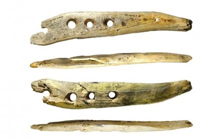A four-holed piece of ivory provides a glimpse into ancient rope-making