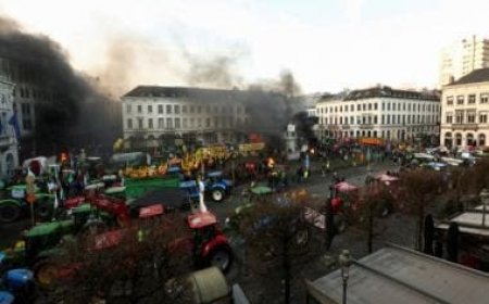 Hurled eggs and firecrackers at police: Why farmers’ protests have gripped Europe