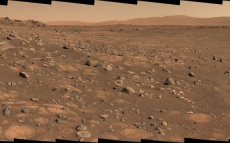 Bacteria that can make humans sick could survive on Mars