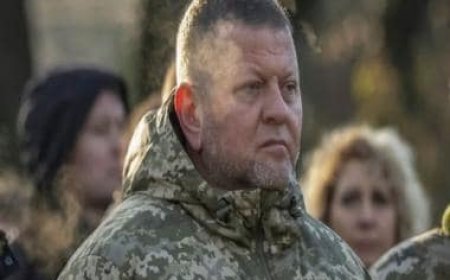 White House informed by Ukraine of plan to remove top commander
