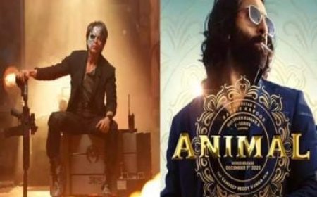 20.8 million views in 3 days for Ranbir Kapoor's Animal, 14.9 million in 4 days for Shah Rukh Khan's Jawan on Netflix