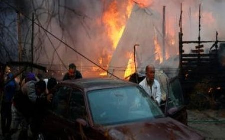 Wildfires scorch central Chile, death toll tops 110