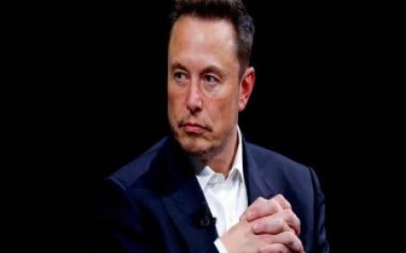 Elon Musk consumed drugs with Tesla board members, suggested to get into rehab, claims report