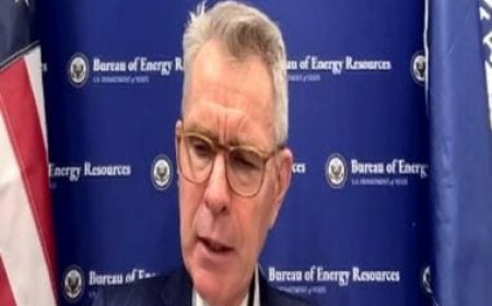 Indian Navy's action on Houthis illustrates its capacity as net security provider: US Assistant Secy of State for Energy