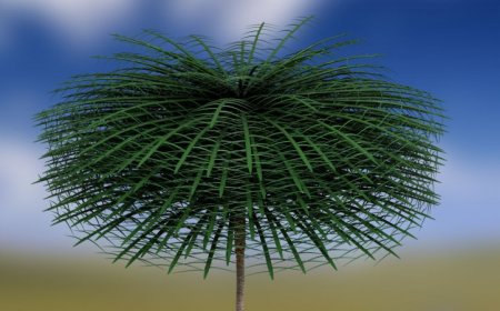 A rare 3-D tree fossil may be the earliest glimpse at a forest understory