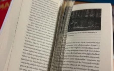 Germany bolsters anti-far-right attacks on ancient literature, libraries rises