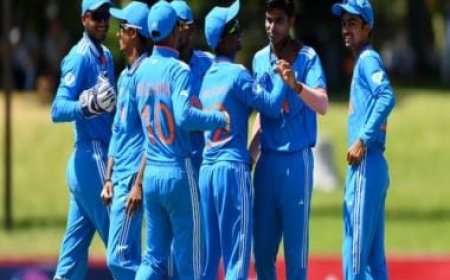 U19 World Cup: India's top performers who propelled the team into final