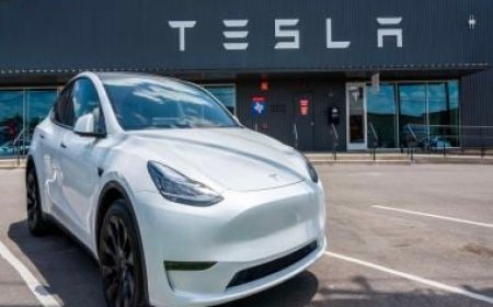 Tesla sold only one car in South Korea last month, issues with EVs made in China to blame