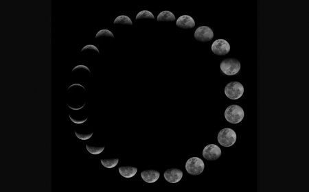 How ‘Our Moon’ shaped life on Earth and human history