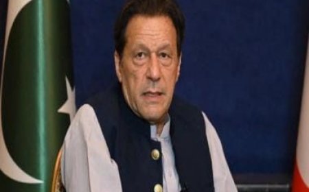 Pakistan Election Results 2024: Imran Khan-backed independent candidates gain ground