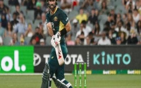 Glenn Maxwell rewrites record books with fifth T20I hundred in AUS vs WI match in Adelaide