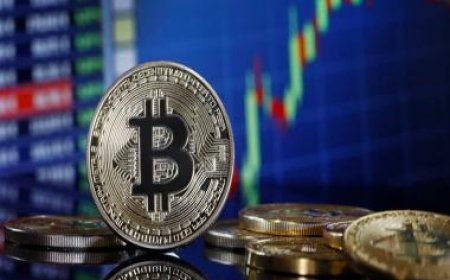 Bitcoin at its highest in 2 years, hits $50,000. What is the reason behind this sudden surge?