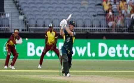 'Well and truly done': David Warner after his last international match in Australia