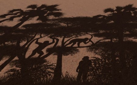 50 years ago, evidence showed that an extinct human ancestor walked upright