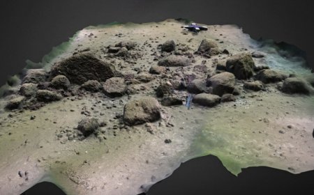 This Stone Age wall may have led Eurasian reindeer to their doom