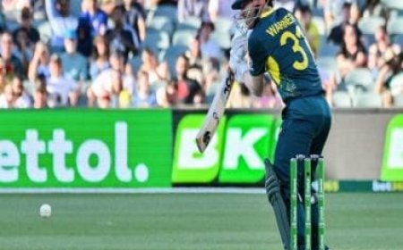 David Warner plays record-setting knock in last international match in Australia
