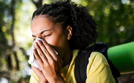 Newfound immune cells are responsible for long-lasting allergies