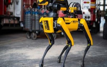 Boston Dynamics to deploy their robot dogs at Indian construction site, partners with Gurugram-based firm