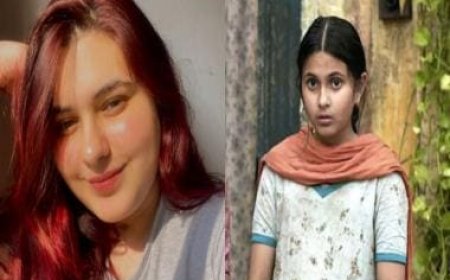 Aamir Khan's Dangal co-star Suhani Bhatnagar, who played young Babita, passes away at the age of 19