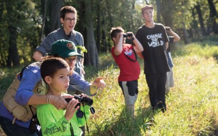 A new book explores the transformative power of bird-watching