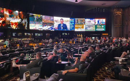 US sports betting revenue in 2023 hit a new record — but there's even more growth to come