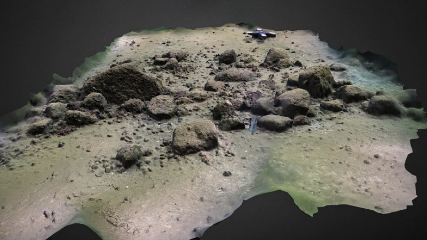 This Stone Age wall may have led Eurasian reindeer to their doom