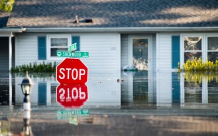 Waterlogged soils can give hurricanes new life after they arrive on land