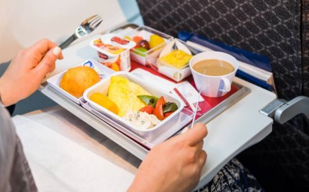 A photo of an airline's bad vegetarian meal is going very viral