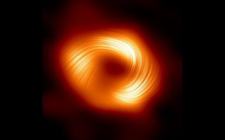 A new image reveals magnetic fields around our galaxy’s central black hole