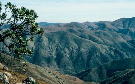 Earth’s oldest known earthquake was probably triggered by plate tectonics