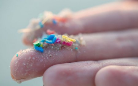 A new study has linked microplastics to heart attacks and strokes. Here’s what we know 