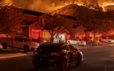 ‘On the Move’ examines how climate change will alter where people live