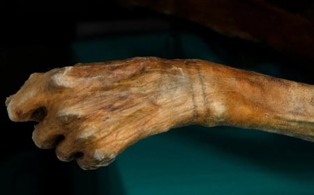 How Ötzi the Iceman really got his tattoos